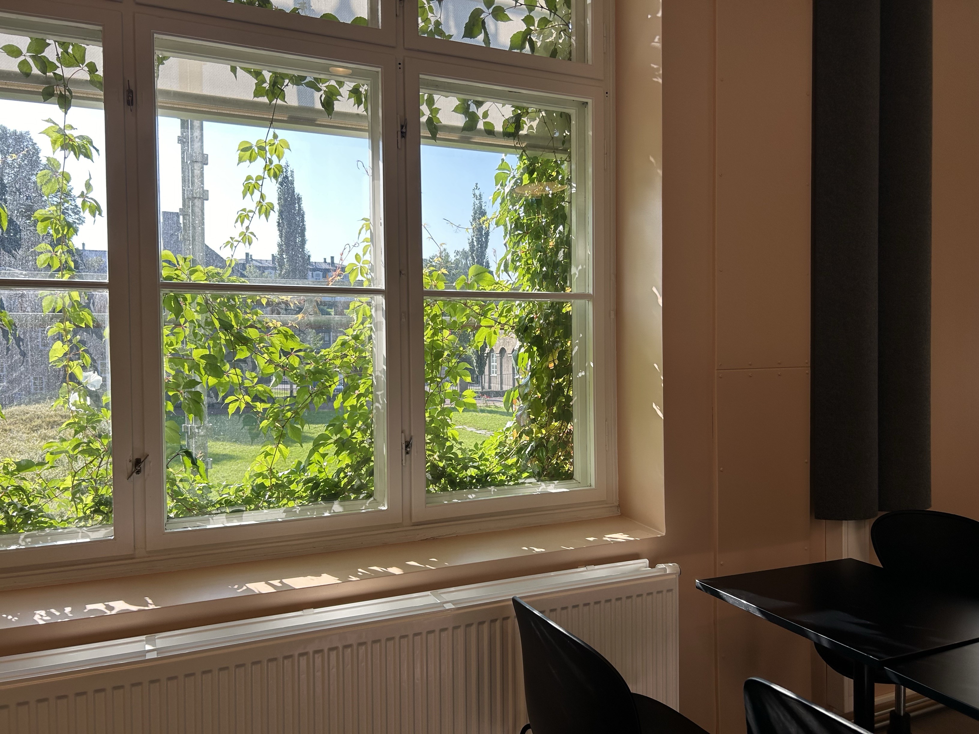 et vindu med utsikt til trær utenfor