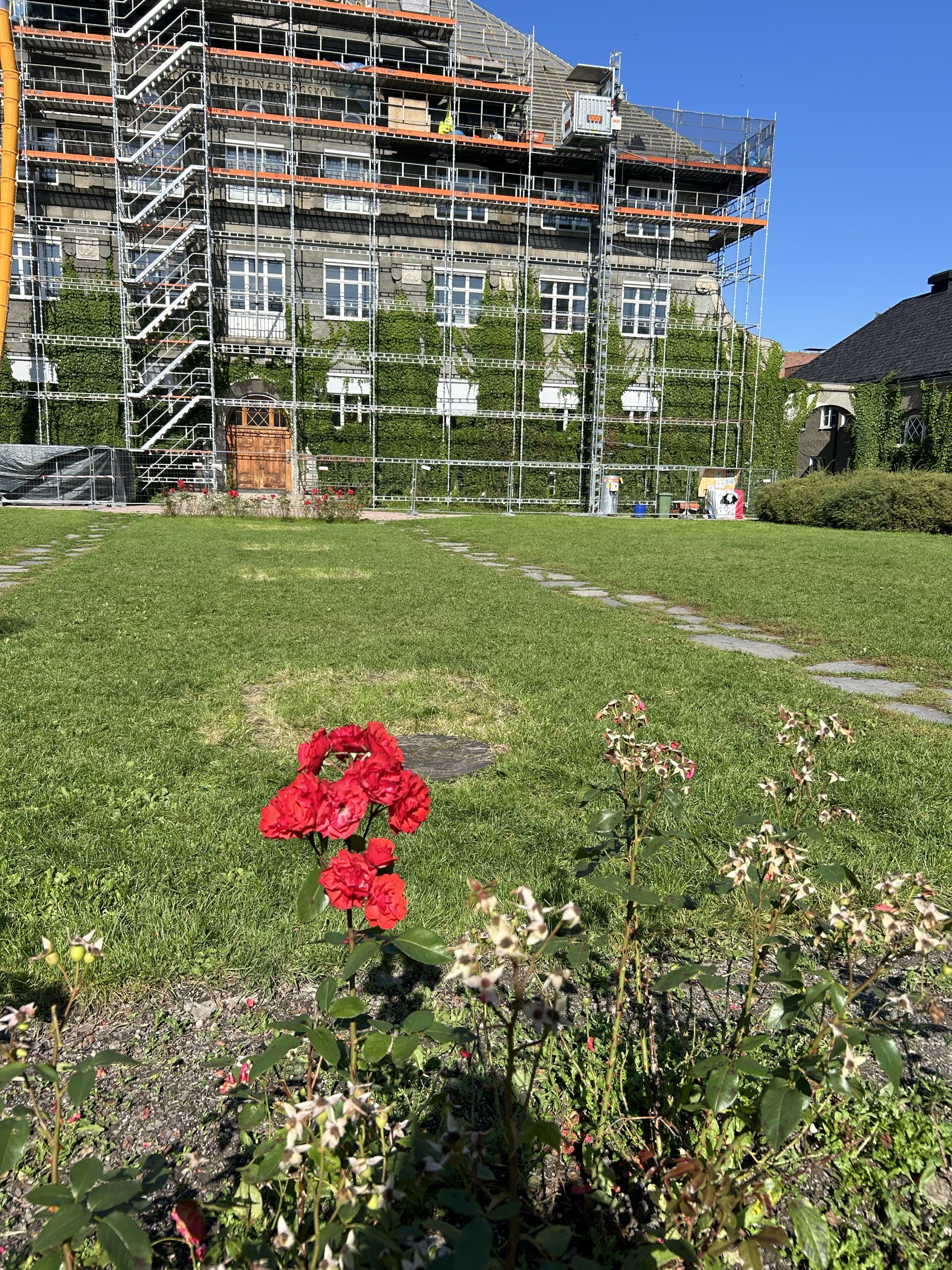 en hage foran en bygning