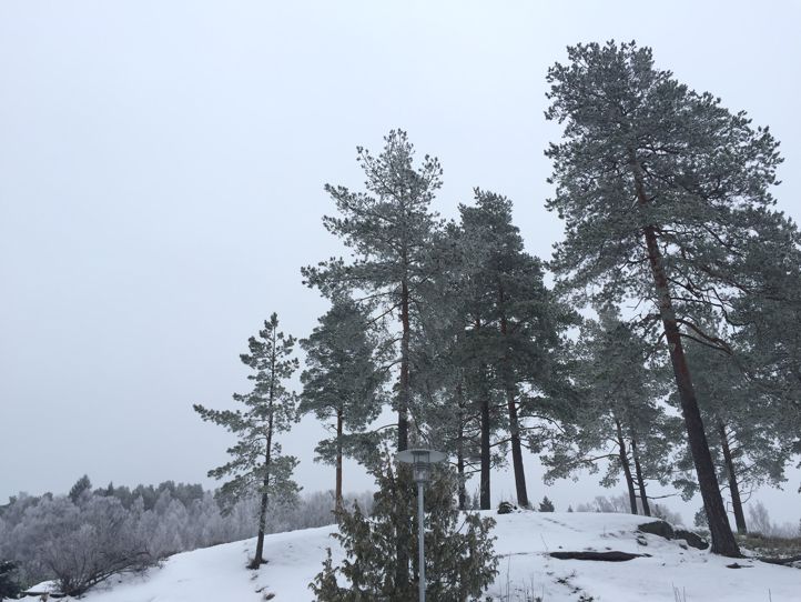 Vinter i Norge