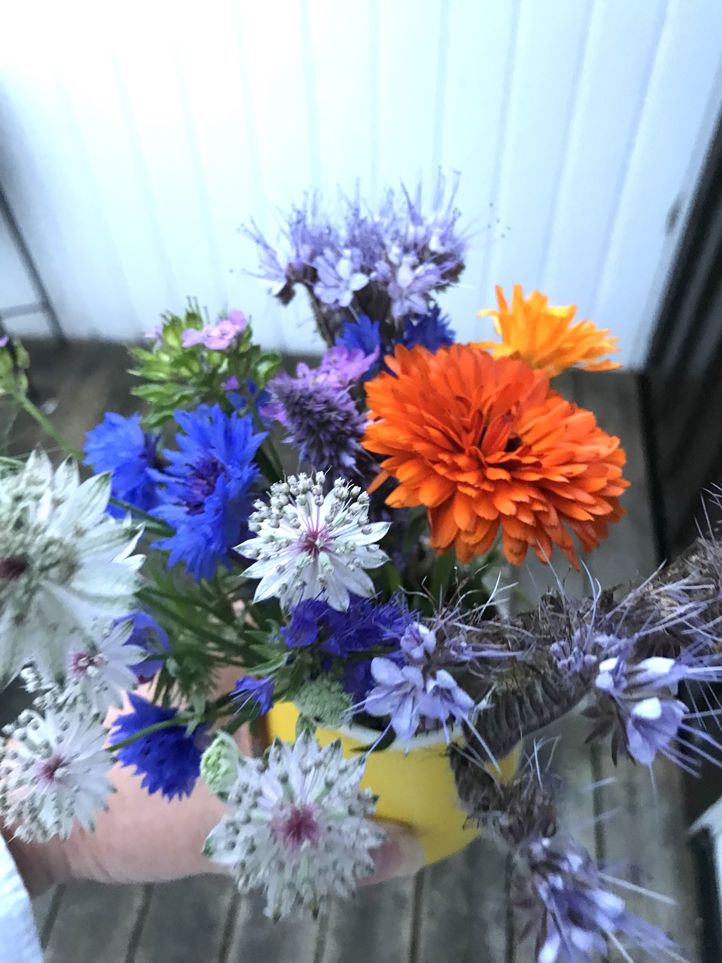 en bukett blomster