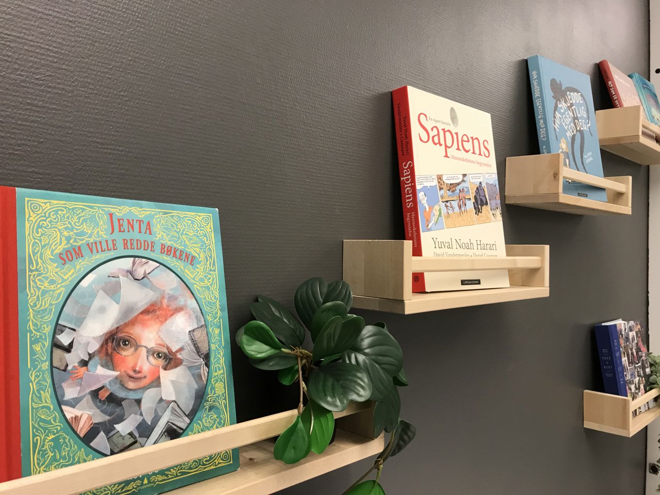 Bokhyller på biblioteket