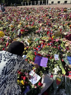 En person i en blomstereng