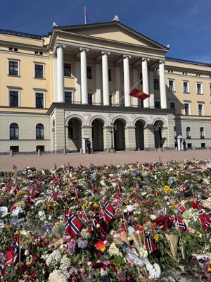 en stor bygning med mange flagg foran seg