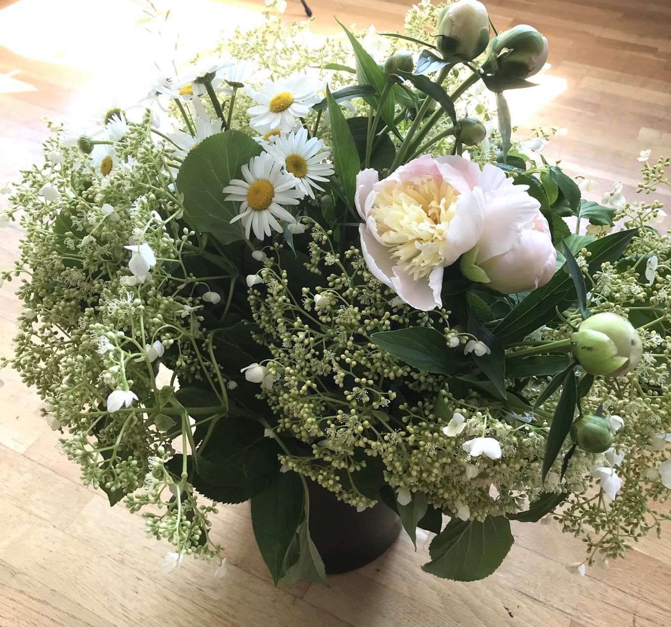 en plante med hvite blomster